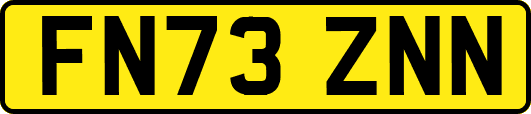 FN73ZNN