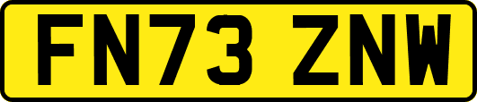 FN73ZNW