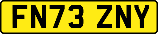 FN73ZNY