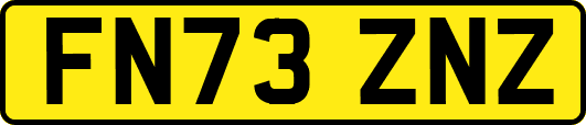 FN73ZNZ