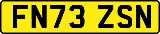 FN73ZSN