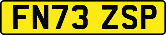 FN73ZSP