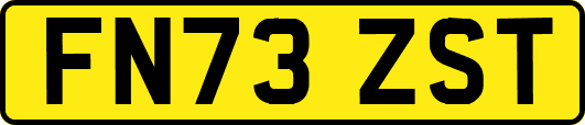 FN73ZST