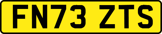 FN73ZTS