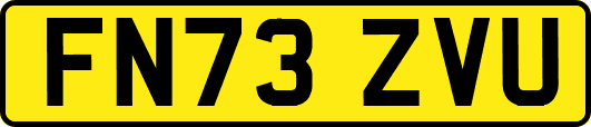 FN73ZVU