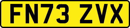 FN73ZVX