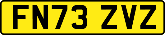 FN73ZVZ