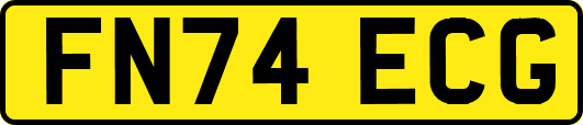 FN74ECG