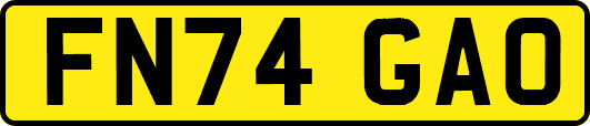 FN74GAO