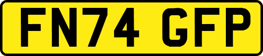 FN74GFP