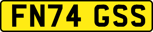 FN74GSS