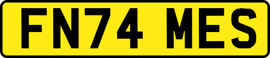 FN74MES