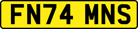 FN74MNS