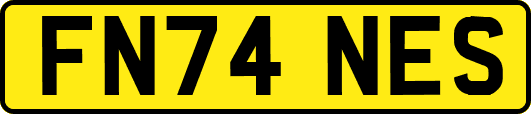 FN74NES