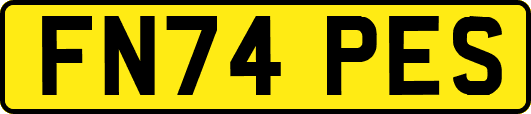 FN74PES