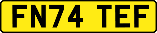 FN74TEF