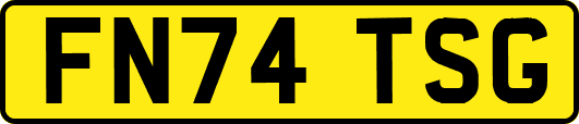 FN74TSG