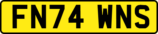 FN74WNS