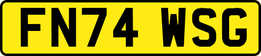 FN74WSG