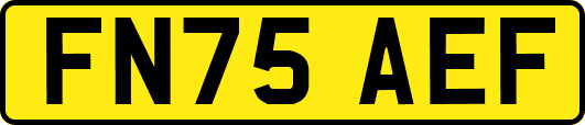 FN75AEF