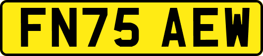 FN75AEW