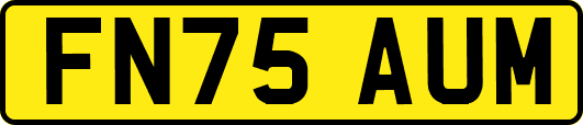 FN75AUM