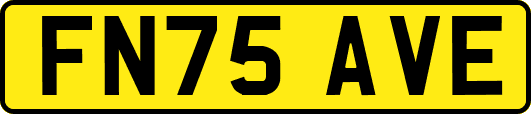 FN75AVE