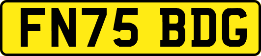 FN75BDG