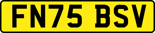 FN75BSV