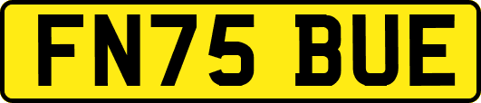 FN75BUE