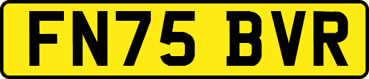 FN75BVR
