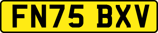 FN75BXV