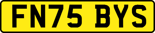 FN75BYS