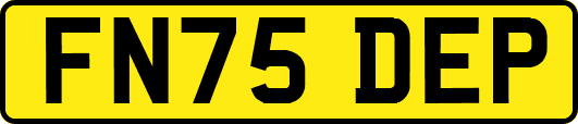FN75DEP