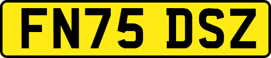 FN75DSZ
