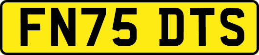 FN75DTS