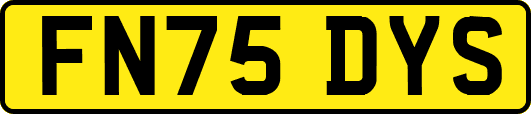 FN75DYS