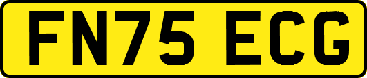 FN75ECG