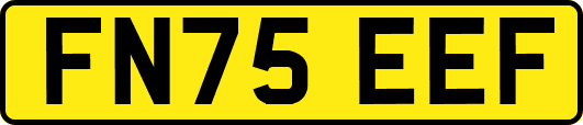 FN75EEF