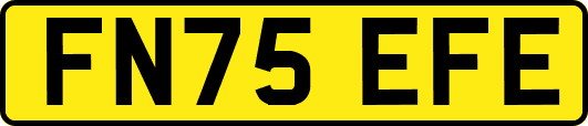 FN75EFE