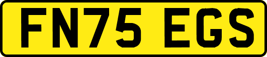 FN75EGS