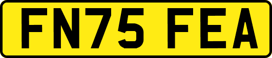 FN75FEA
