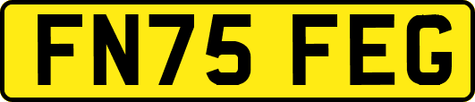 FN75FEG