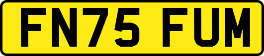 FN75FUM