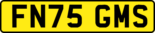 FN75GMS