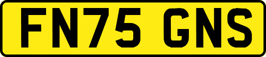 FN75GNS