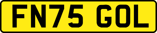 FN75GOL