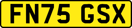 FN75GSX