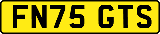 FN75GTS