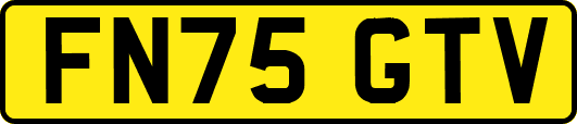 FN75GTV